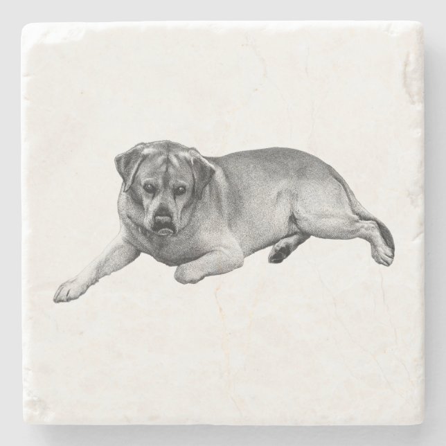 Restful Labrador – Heartfelt Accent Stone Coaster (Front)
