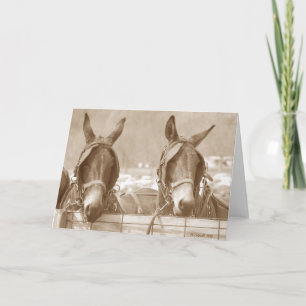 Restin' Easy Card