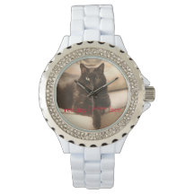 Resting b**** face cat