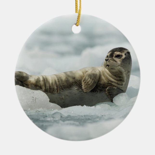 Resting Baby Seal Ceramic Ornament (Front)