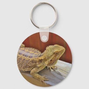 Resting Bearded Dragon 2 Key Ring