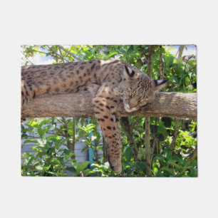 Resting Bobcat Doormat