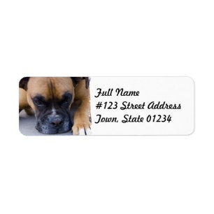 Resting Boxer Dog Mailing Label Return Address Label