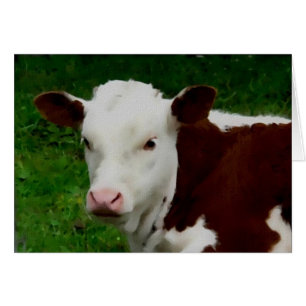Resting Calf Card