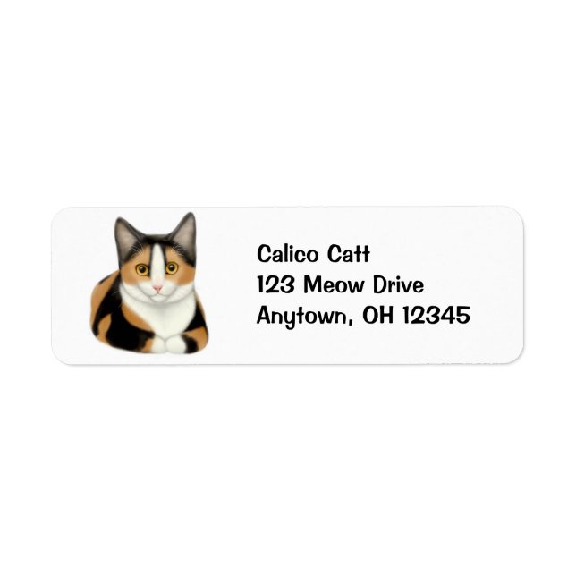 Resting Calico Cat Label Return Address Label (Front)