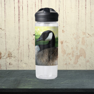 Resting Canada Goose Wildlife Photo Water Bottle