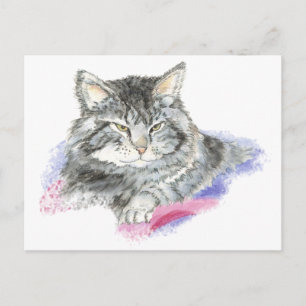 Resting Cat - Animal watercolor Collection Postcard