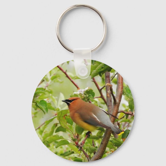 Resting Cedar Waxwing Key Ring (Front)