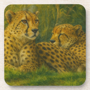 Resting Cheetah Duo in Forest Setting Coaster