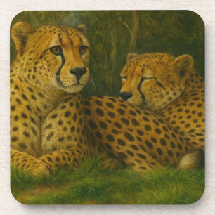 Resting Cheetah Duo in Forest Setting Coaster