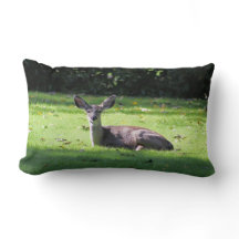 Resting Deer on Lawn Lumbar Pillow