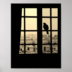 Resting Dove Poster