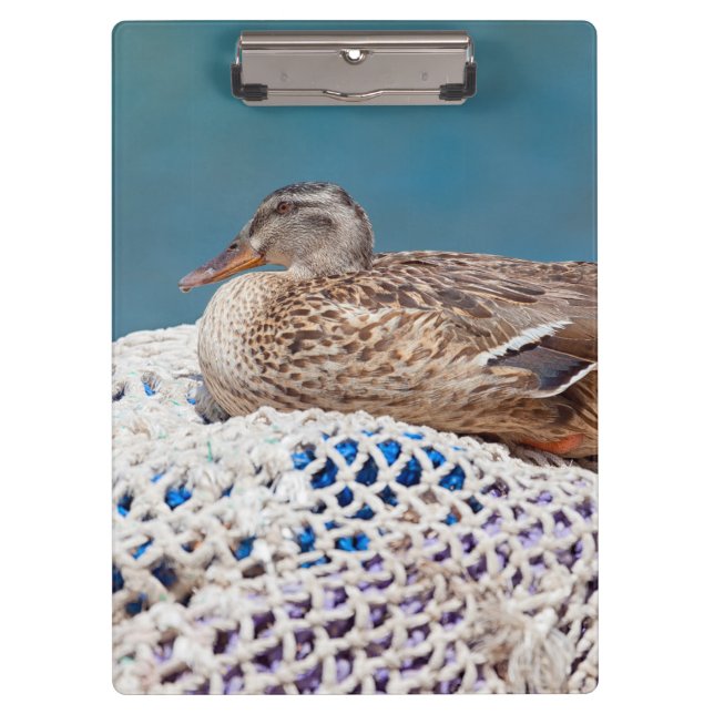 Resting Duck Clipboard (Front)