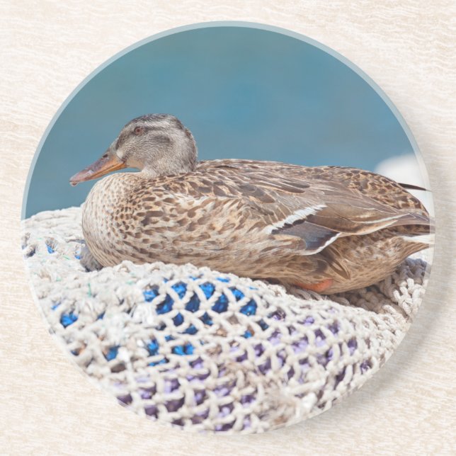 Resting Duck Coaster (Front)
