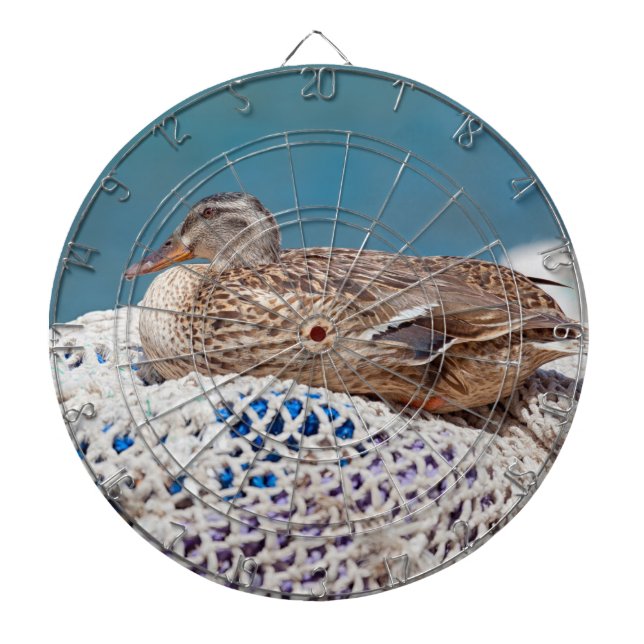 Resting Duck Dartboard (Front)
