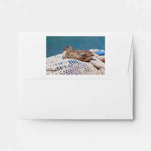 Resting Duck Envelope