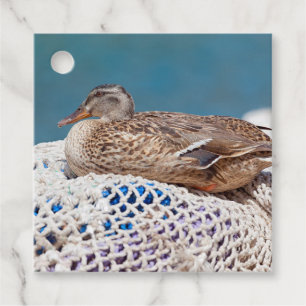 Resting Duck Favour Tags