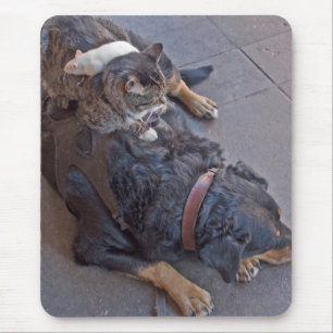 Resting Easy Mouse Pad