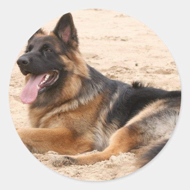 Resting German Shepherd Dog Sticker (Front)