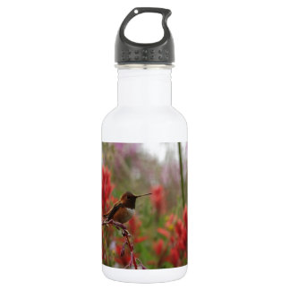 Resting Hummingbird 532 Ml Water Bottle