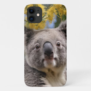 "Resting in Gold: A Koala in a Wattle Tree" iPhone 11 Case