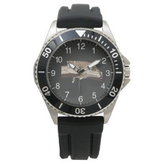 Resting Jaguar Watch