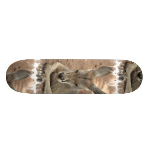 Resting Kangaroo Skateboard