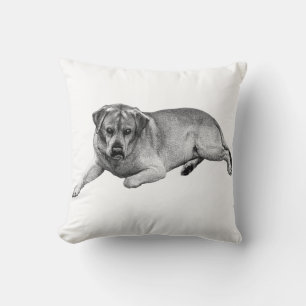 Resting Labrador – Cosy Charm Cushion