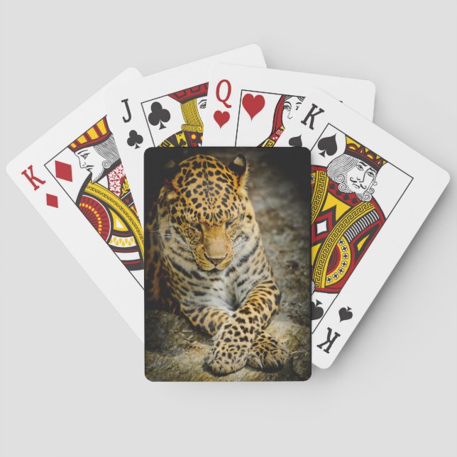 Resting Leopard Playing Cards (Back)