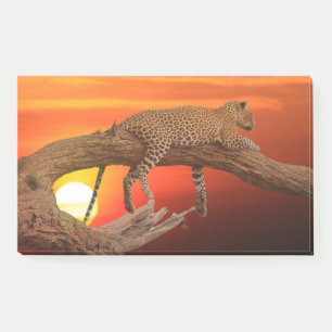 Resting Leopard Post-it Notes