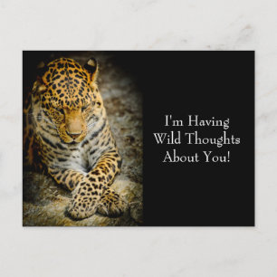 Resting Leopard "Wild Thoughts" Postcard