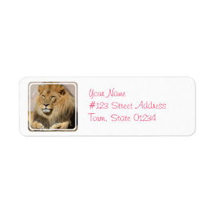 Resting Lion Return Address Label