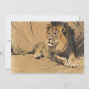 Resting Lion Wilhelm Kuhnert