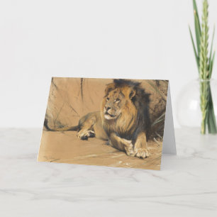 Resting Lion Wilhelm Kuhnert Card