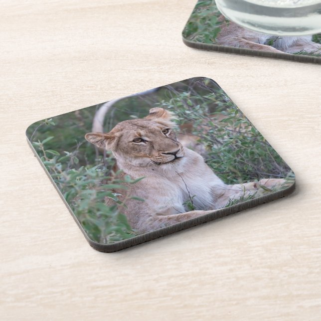 Resting Lioness – African Wildlife Art Coaster (Left Side)