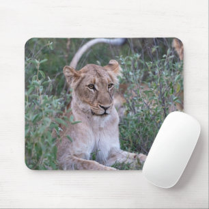 Resting Lioness African Wildlife Portrait Mouse Pad