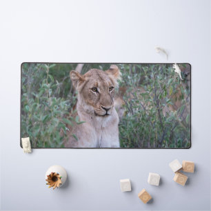 Resting Lioness in African Wilderness Desk Mat