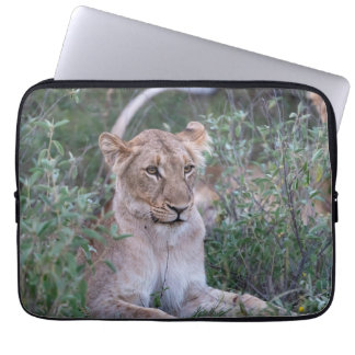 Resting Lioness in African Wildlife Laptop Sleeve