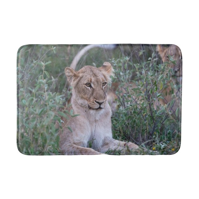 Resting Lioness Wildlife Photography Bath Mat (Front)