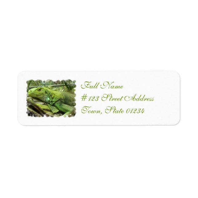 Resting Lizard Address Labels (Front)