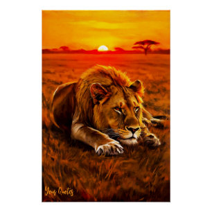 Resting Male Lion on Golden Savanna Poster