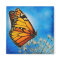 Resting Monarch magnet