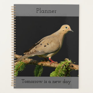 Resting Mourning Dove Planner