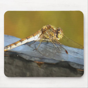 Resting Ochre Brown Dragonfly Realistic Painting Mouse Pad