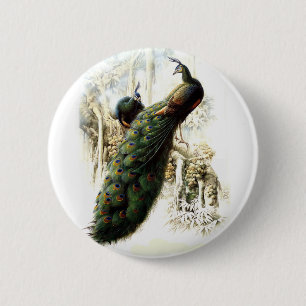 Resting Peacocks 6 Cm Round Badge