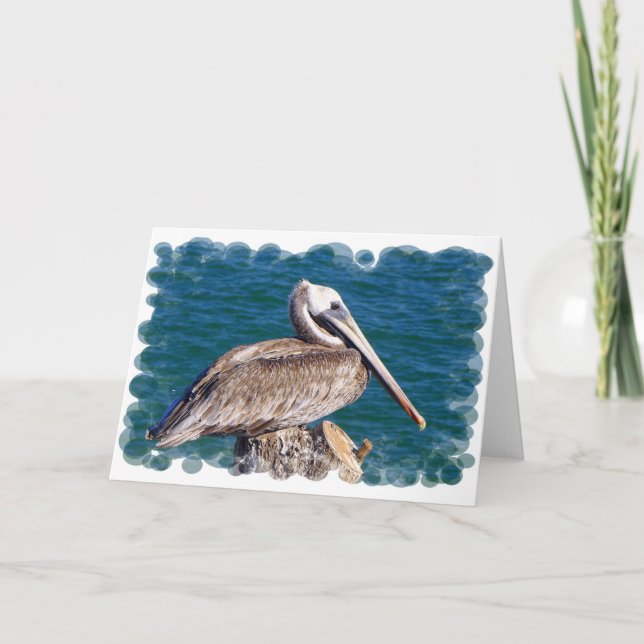 Resting Pelican Greeting Card (Front)