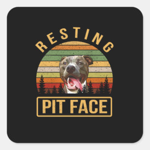 Resting Pitbull face Square Sticker