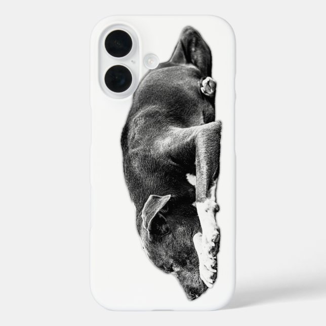 Resting Pitbull Mix Calm Gaze Phone Case (Back)