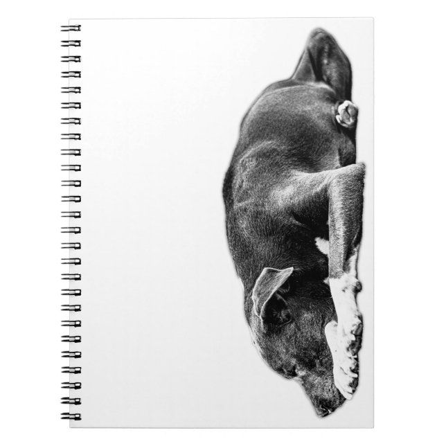 Resting Pitbull Mix Monochrome Art Notebook (Front)