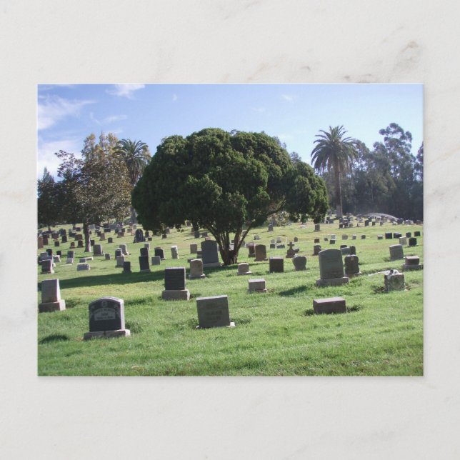 Resting Places Postcard (Front)